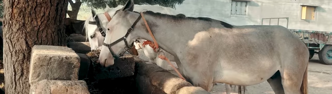 Welcome to MuktaTrips.com