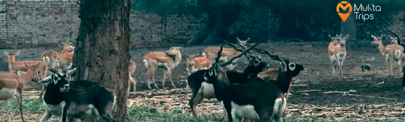 Welcome to MuktaTrips.com