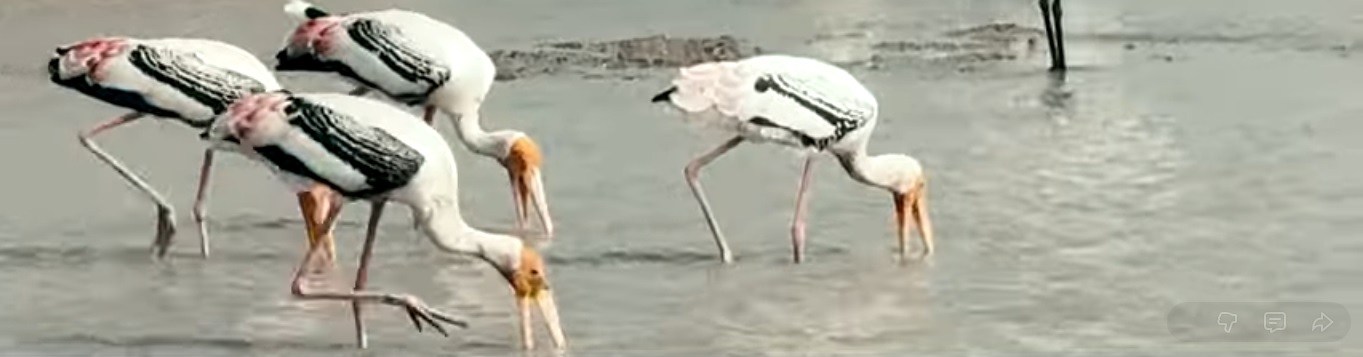 Welcome to MuktaTrips.com