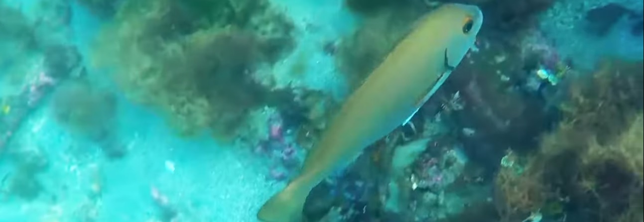 Welcome to MuktaTrips.com