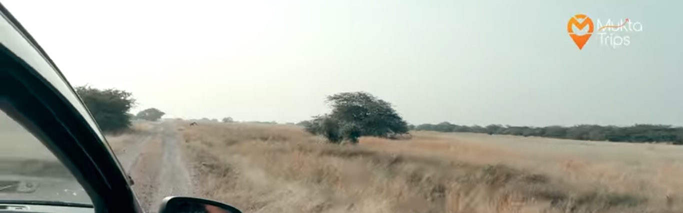 Welcome to MuktaTrips.com