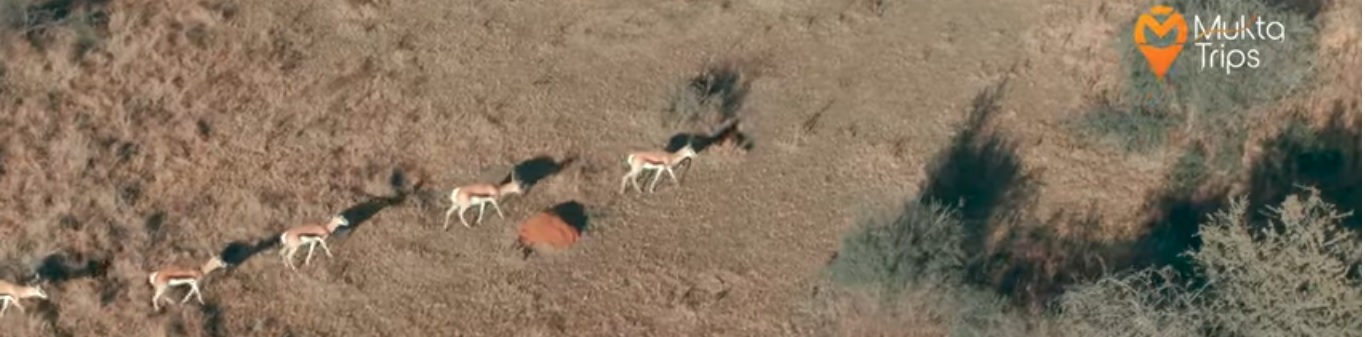 Welcome to MuktaTrips.com