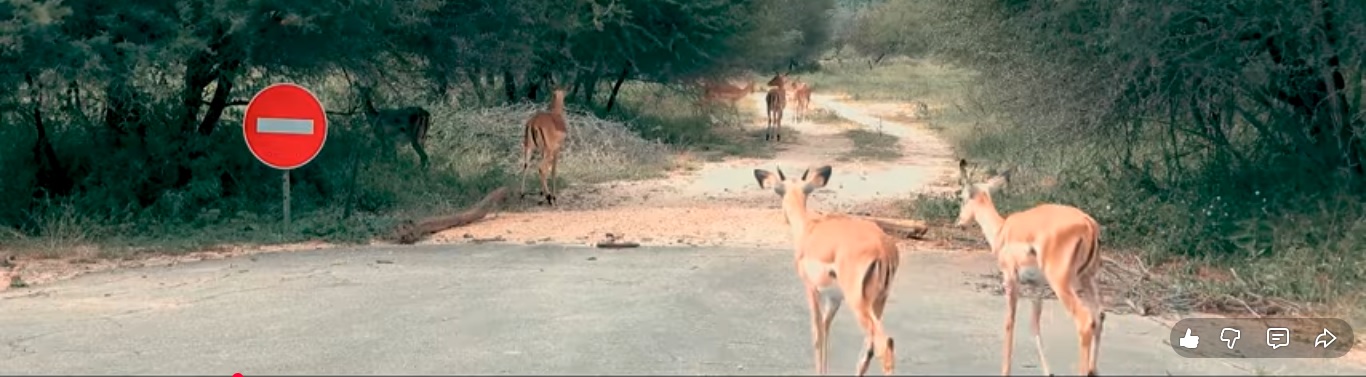 Welcome to MuktaTrips.com