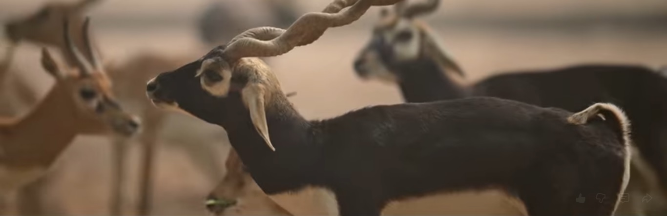 Welcome to MuktaTrips.com